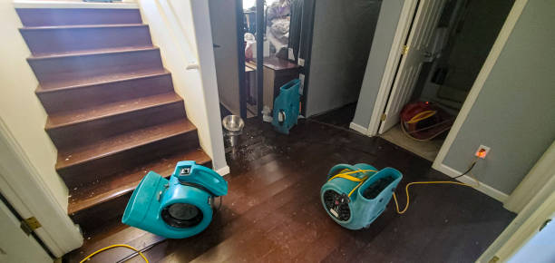 Best Sewage cleanup and water damage restoration  in Vero Lake Estates, FL