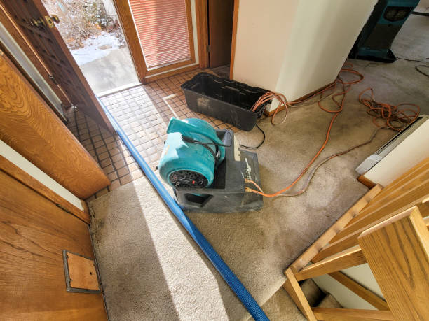 Vero Lake Estates, FL Water damage restoration Pros