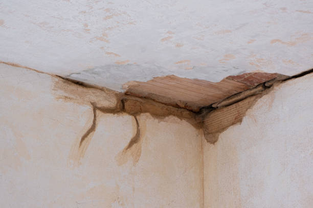 Best Basement water damage restoration  in Vero Lake Estates, FL