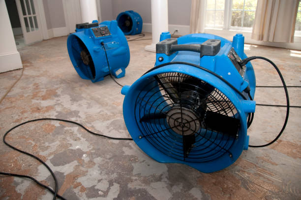 Best Water damage restoration near me  in Vero Lake Estates, FL