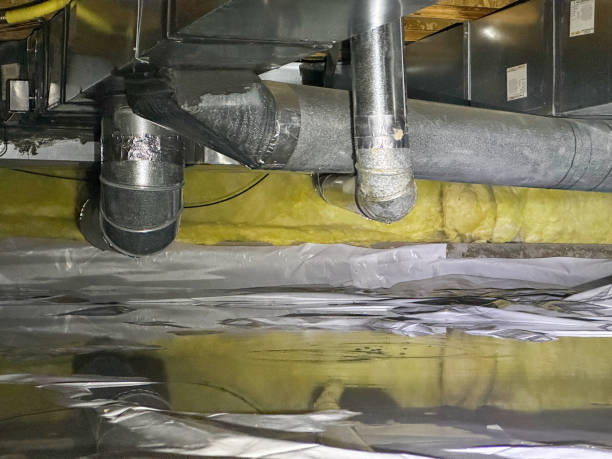 Best Carpet water damage restoration  in Vero Lake Estates, FL