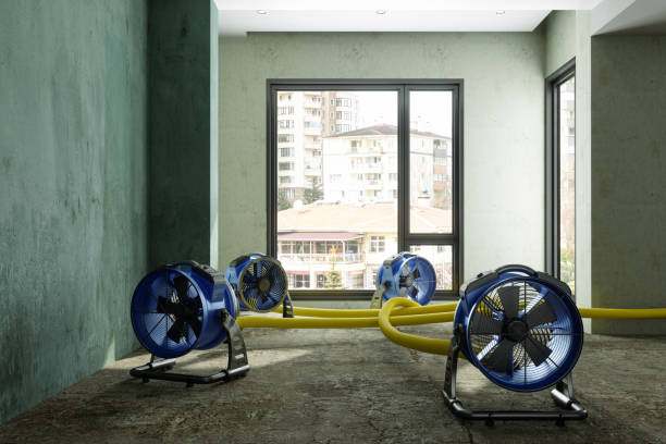 Best 24/7 water damage repair  in Vero Lake Estates, FL
