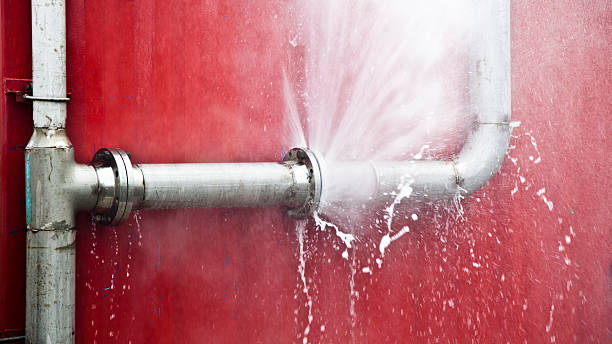 Best Sewage cleanup and water damage restoration  in Vero Lake Estates, FL